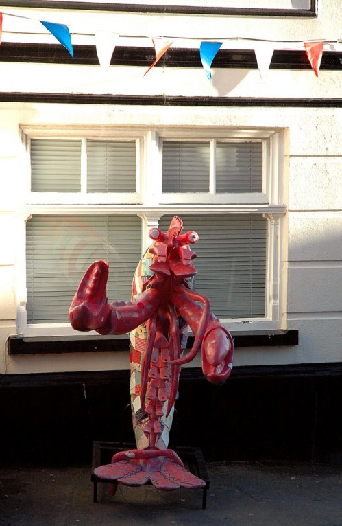 daily lobster